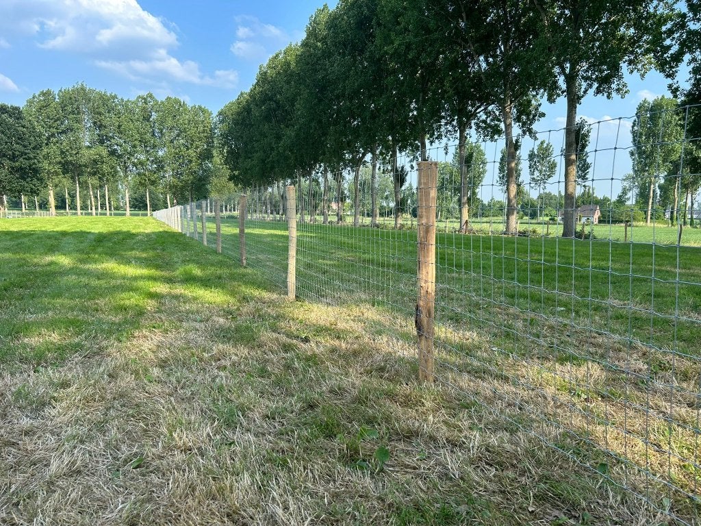 Poteaux en acacia de 2m, Pâturage, 2 ou 3 chevaux ou poneys