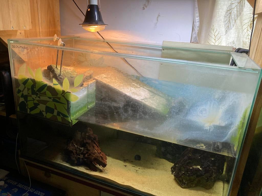 Aquarium terrarium schildpad 100cm breed, Dieren en Toebehoren, Ophalen, Gebruikt, Terrarium of Paludarium