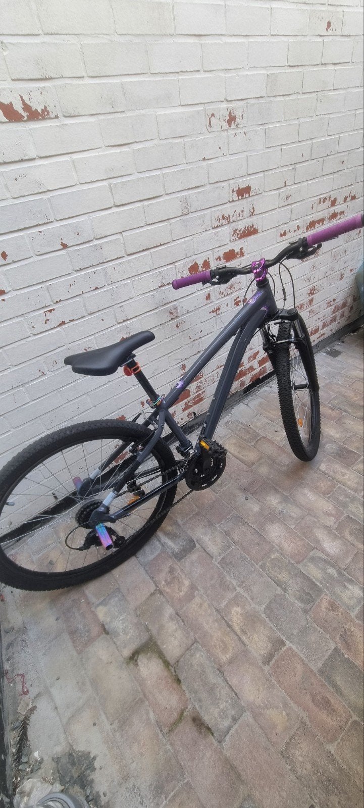 Rockrider EXPL 50 – Taille S – Personnalisé / Bike Life, Enlèvement, Comme neuf, Frein sur jante, Rockrider