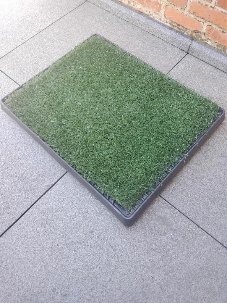 Honden toilet, Dieren en Toebehoren, Ophalen, Gebruikt