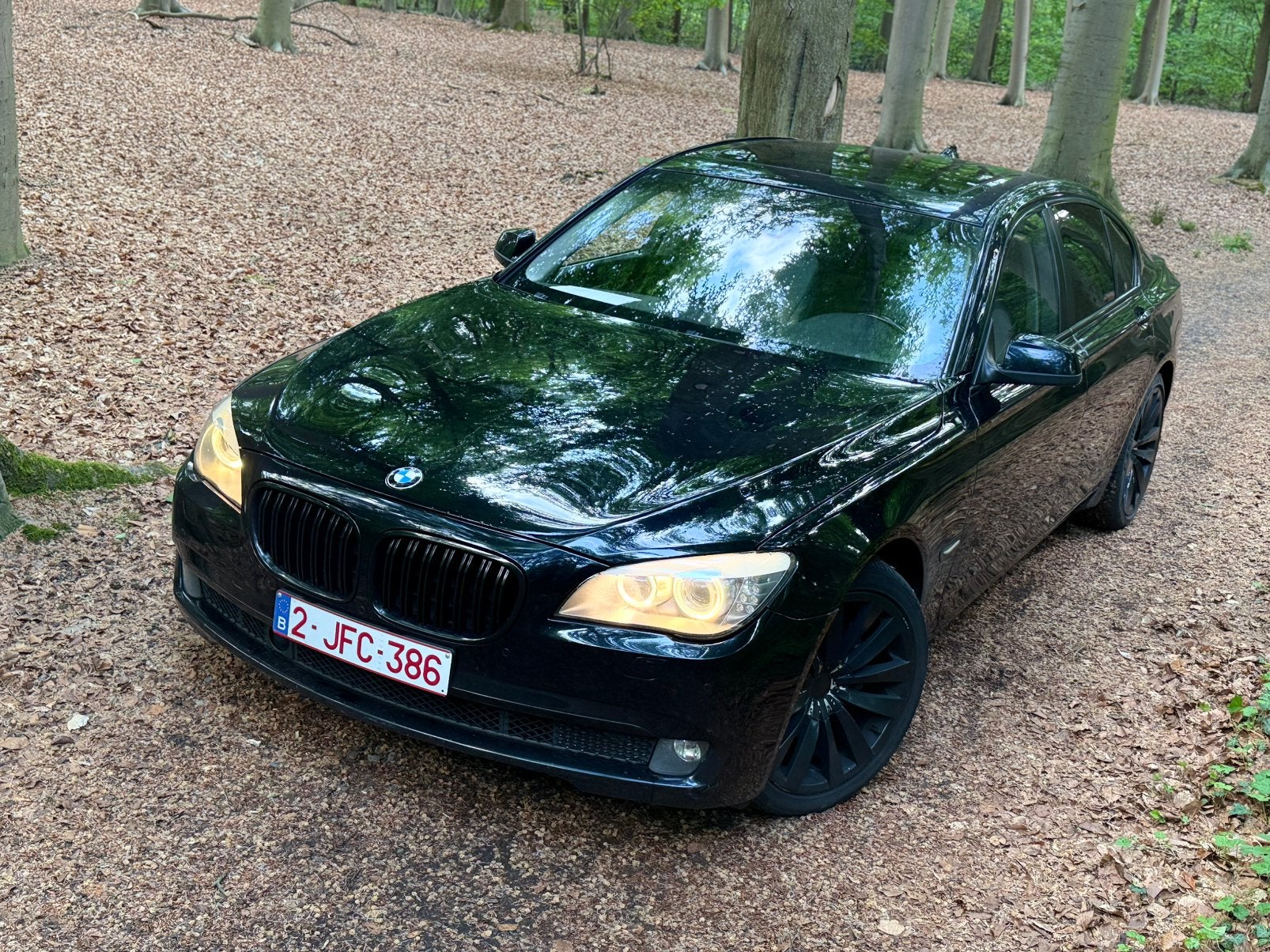 Bmw 740d, Auto's, BMW, Automaat, Euro 5, Leder, Diesel