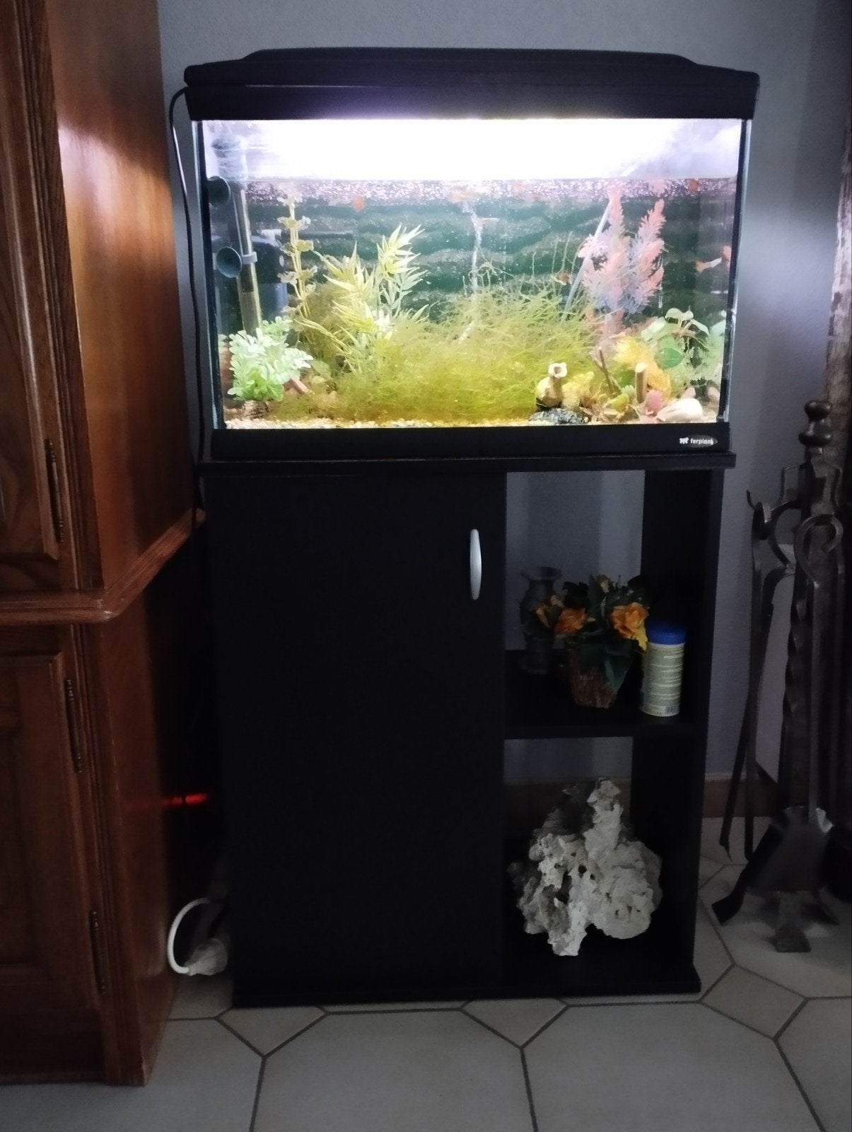 Aquarium met guppy visjes, Ophalen, Verwarming, Decoratie