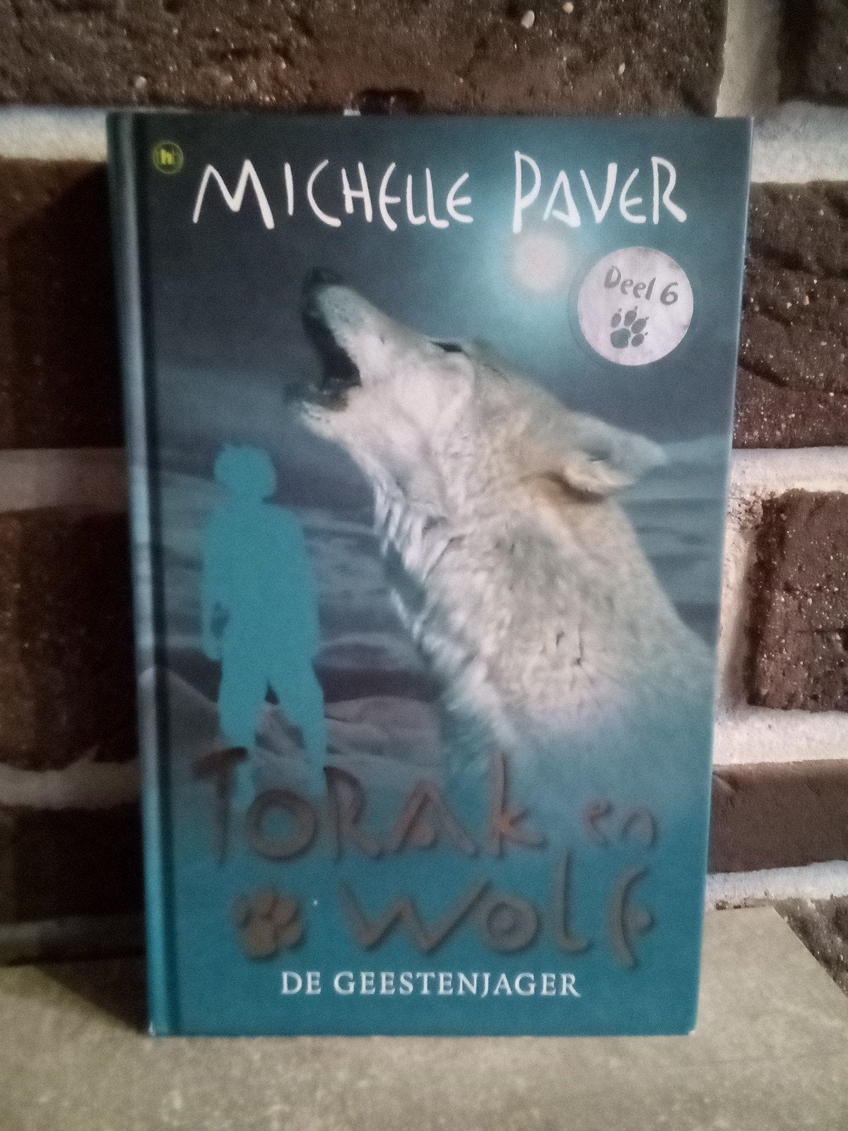 Torak en wolf deel 6 / De geestenjager, Boeken, Ophalen of Verzenden, Michelle Paver