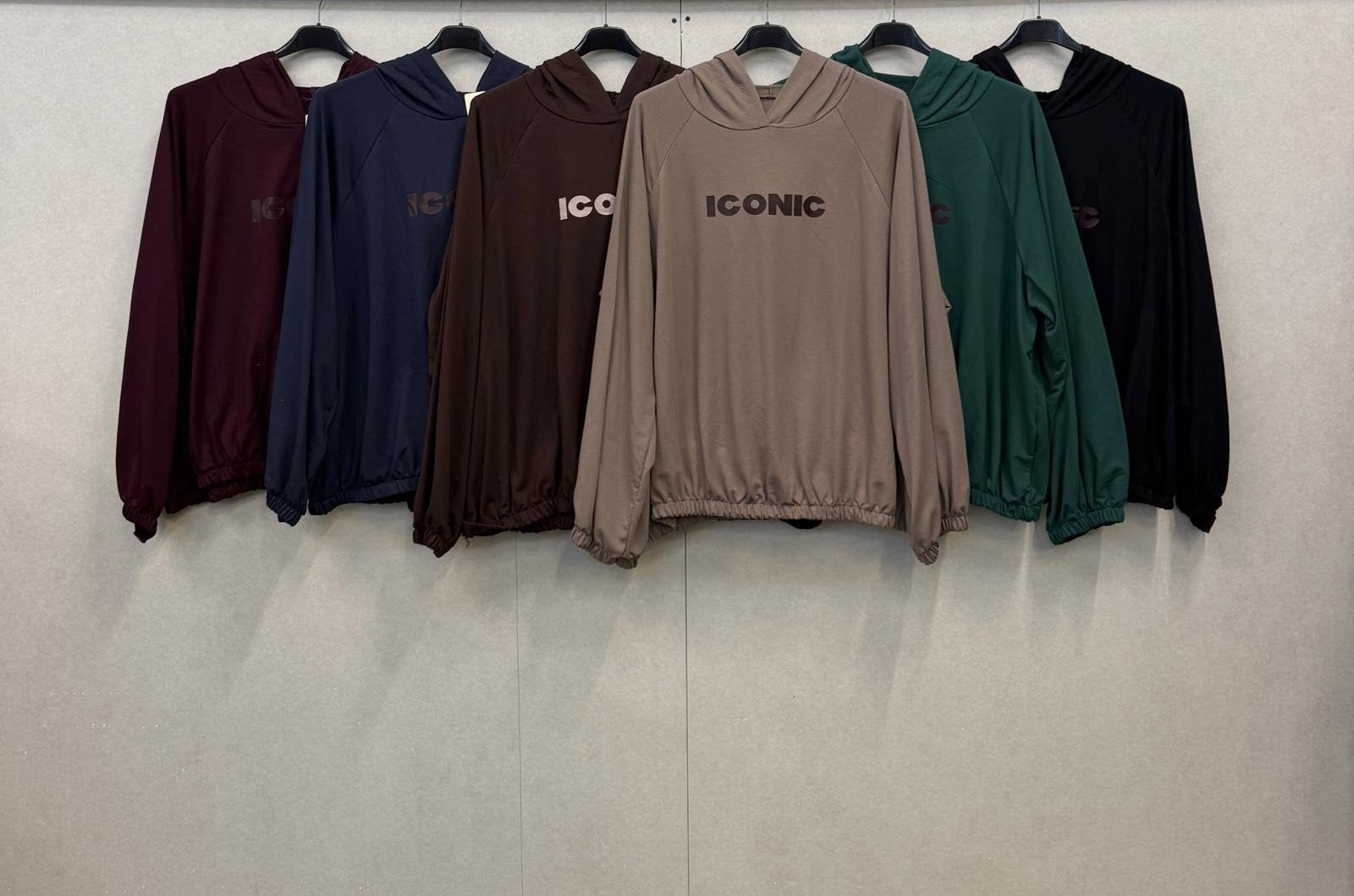 iconic hoodies maat xl t/m 4xl, Ophalen of Verzenden, Nieuw, Maat 46/48 (XL) of groter, Meerkleurig