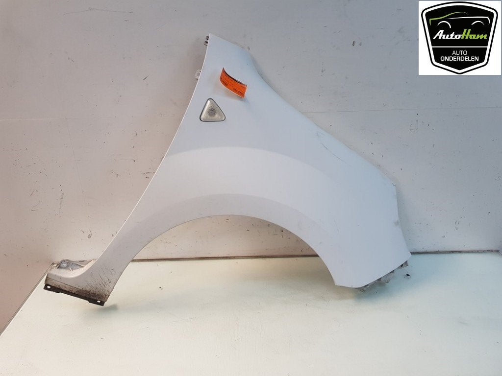 SPATBORD RECHTS VOOR Renault Kangoo Express (FW) (01-2008/-), Dhr. J. Ham, Gebruikt, Renault, Administratie@autoham.nl