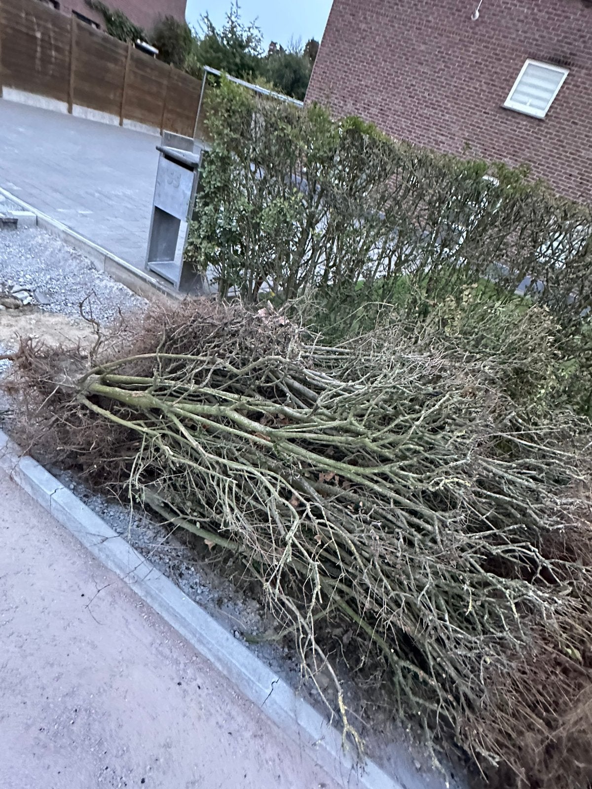 Gratis brandhout, Jardin & Terrasse, Enlèvement