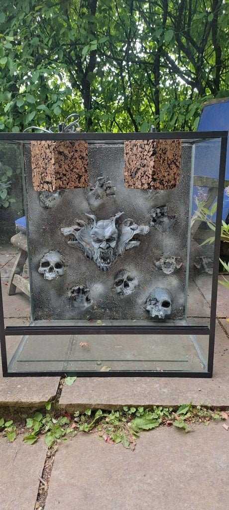 Terrarium met originele achterwand, Enlèvement, Comme neuf, Terrarium ou Paludarium