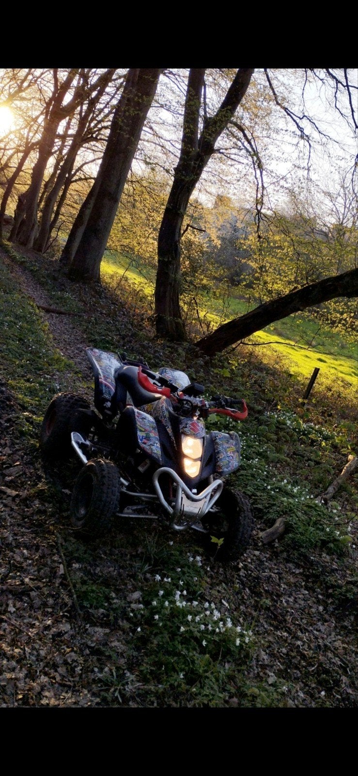 À VENDRE – SUZUKI LTZ 400 ÉDITION AK47, Motos, Jusqu'à 11 kW, 400 cm³, 1 cylindre
