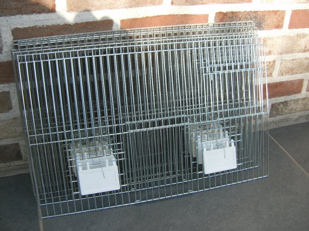 fronten, Dieren en Toebehoren, Meerdere dieren, Tropenvogel