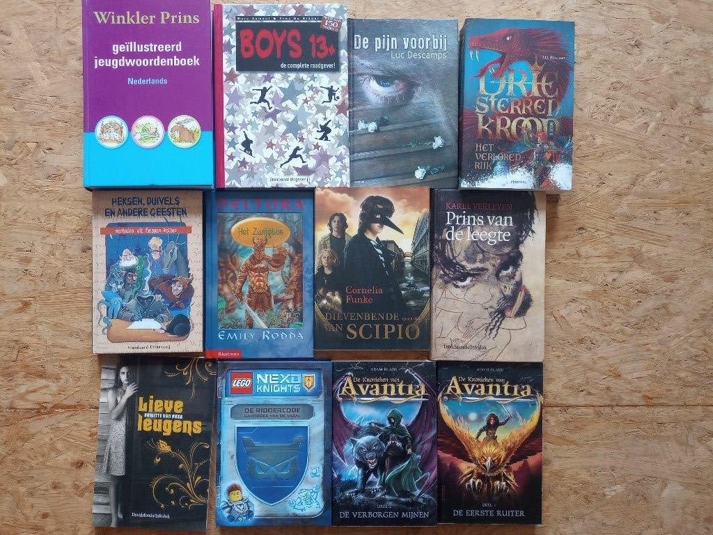 12 JONGERENBOEKEN VOOR 15 EURO SAMEN PRIMA STAAT, Boeken, Kinderboeken | Jeugd | 10 tot 12 jaar, Zo goed als nieuw, Ophalen of Verzenden