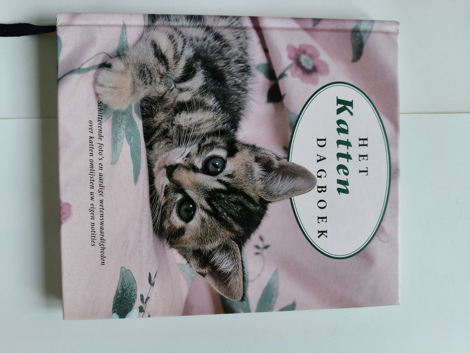 Jane Moore - Het Kattendagboek, Livres, Animaux & Animaux domestiques, Chats, Enlèvement ou Envoi