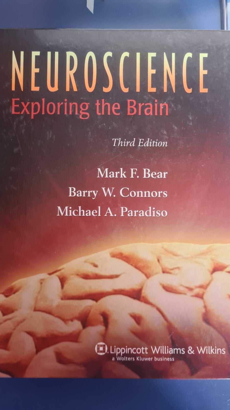 Neuroscience 3E : Exploring the Brain, Ophalen of Verzenden, Barry ConnorsMichael Paradiso