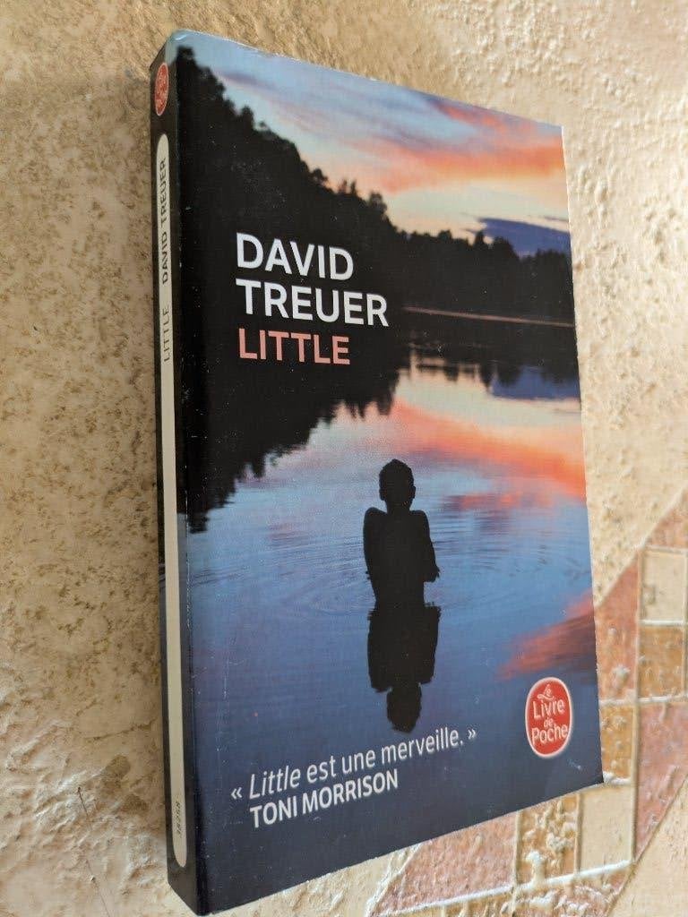 Little (David Treuer)., Boeken, Romans, Gelezen, Verzenden, David Treuer., Amerika