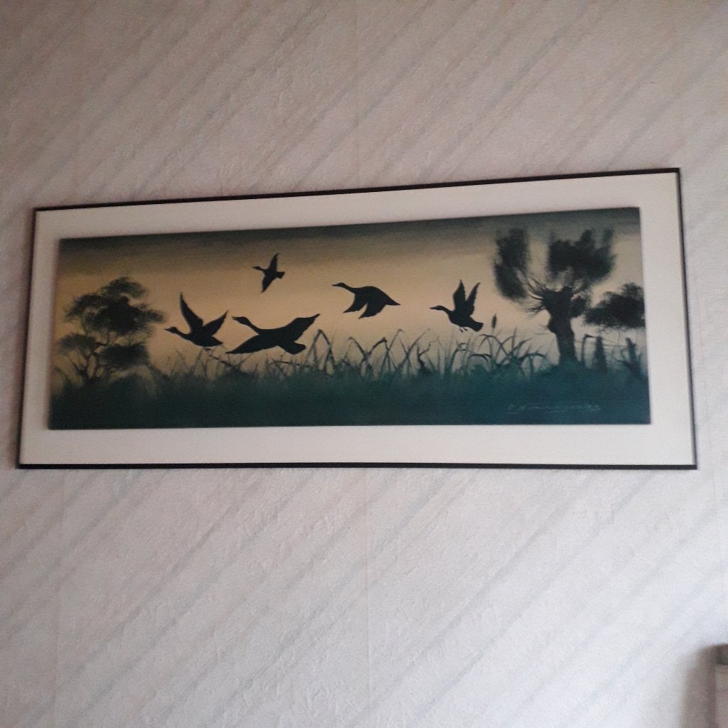kader met vogels, Comme neuf, Enlèvement, 5 – 50, Imprimé