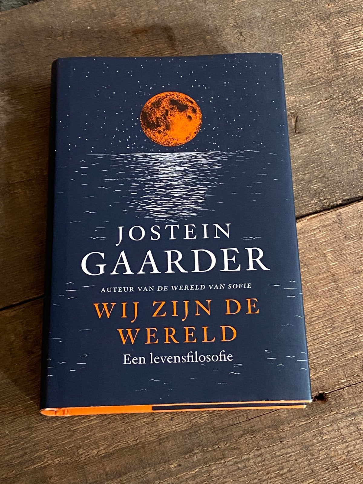 Wij zijn de wereld • Jostein Gaarder, Boeken, Ophalen of Verzenden, Zo goed als nieuw