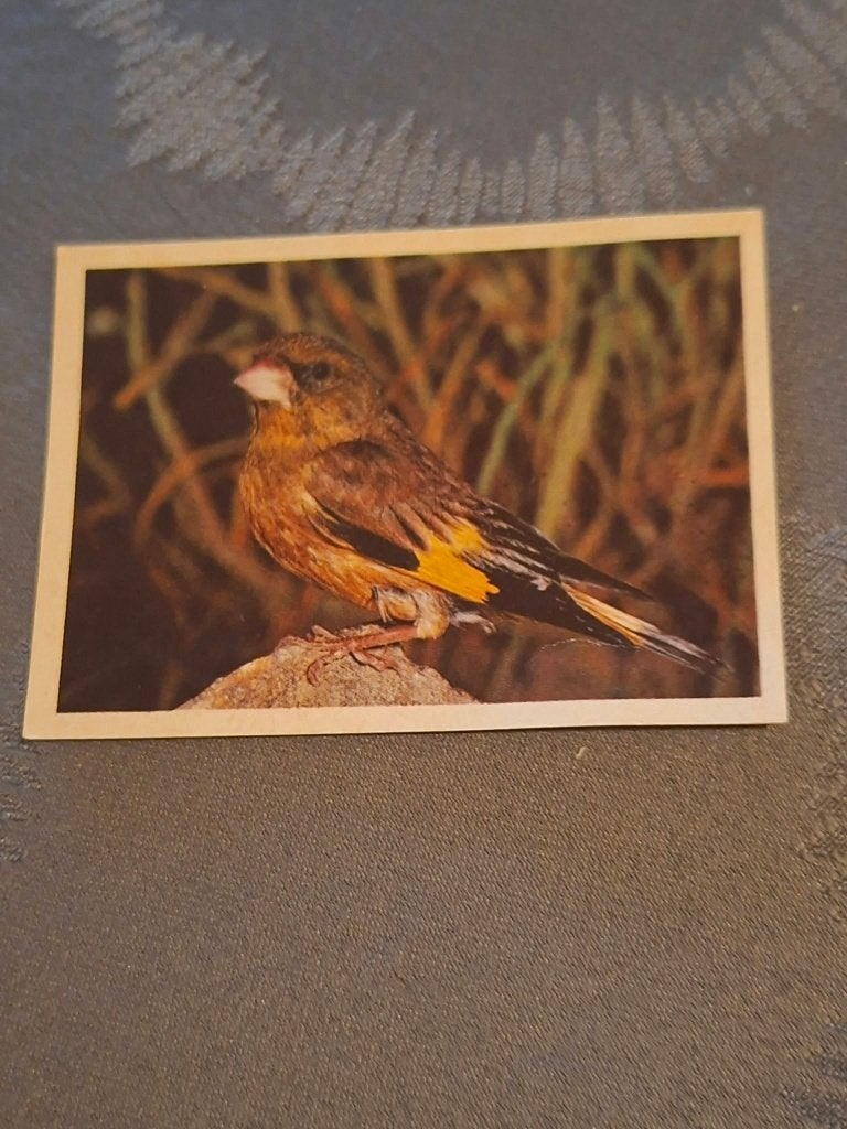 Prentje/Chromo : Himalaya Groenvink, 1960 tot 1980, Gebruikt, Ophalen of Verzenden, Dier
