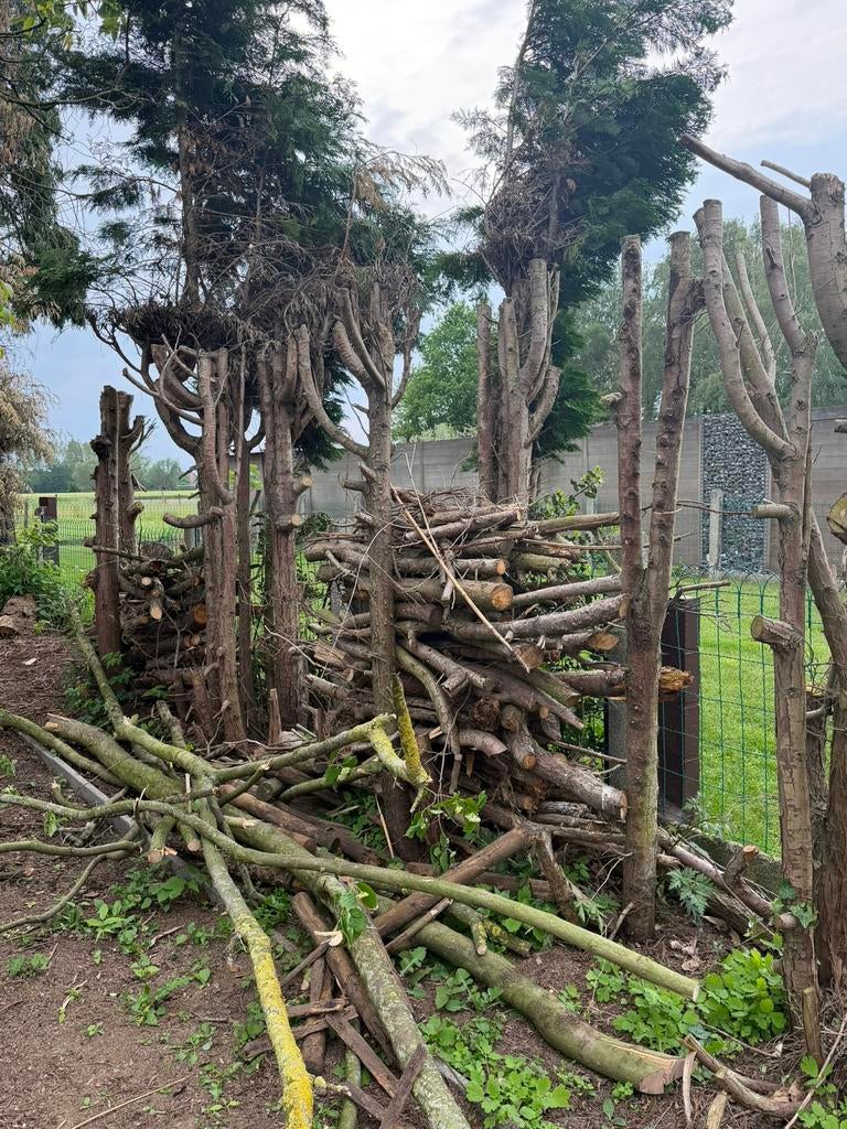 Tuin houten, Jardin & Terrasse, Bois de chauffage, Enlèvement