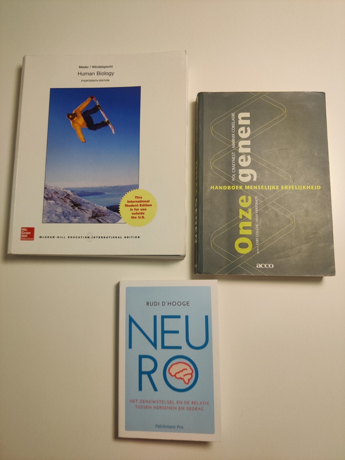 Michael Windelspecht - 9781259252006, Livres, Informatique & Ordinateur, Enlèvement
