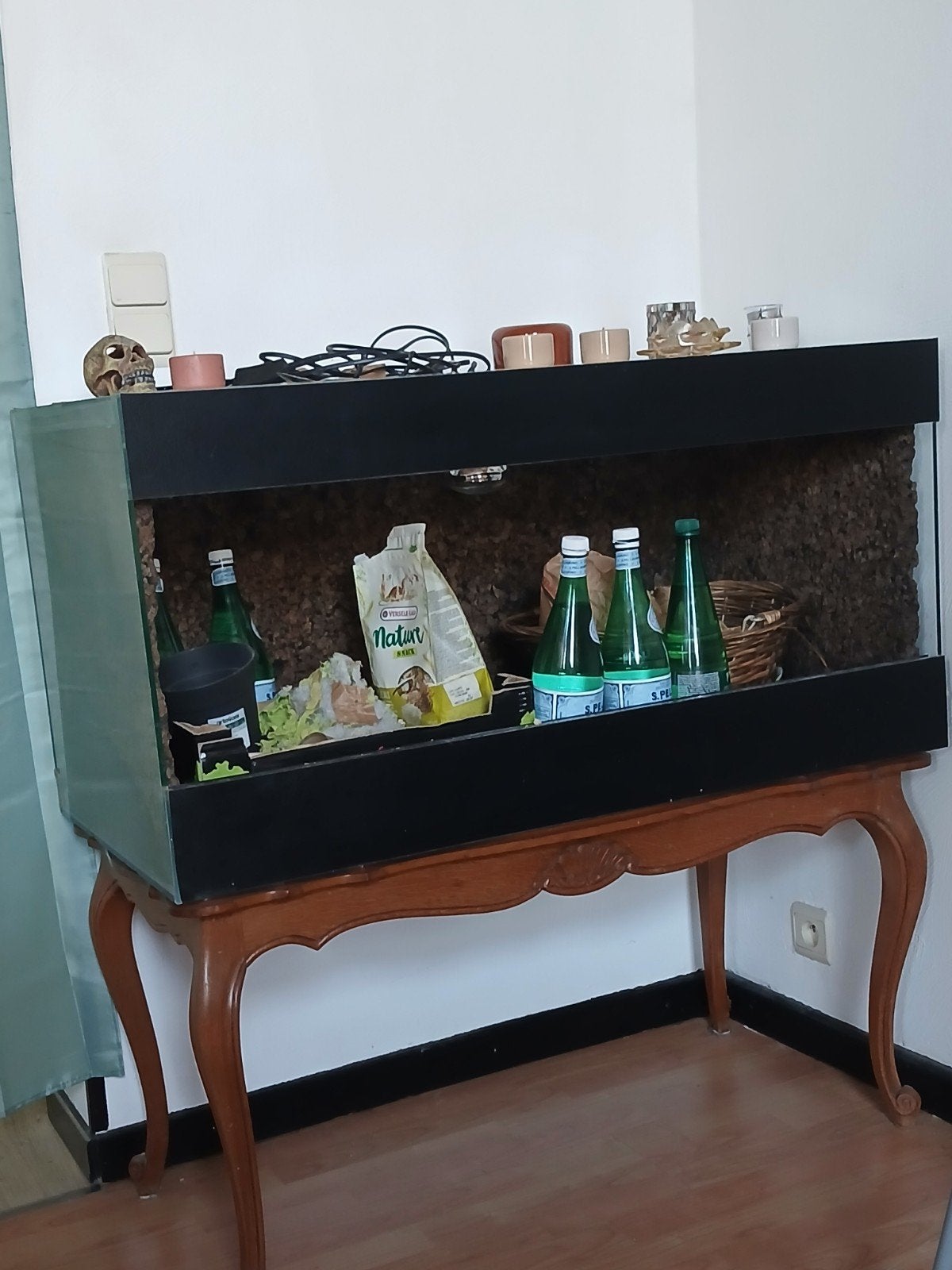 Terrarium à vendre, Animaux & Accessoires, Reptiles & Amphibiens | Accessoires, Enlèvement