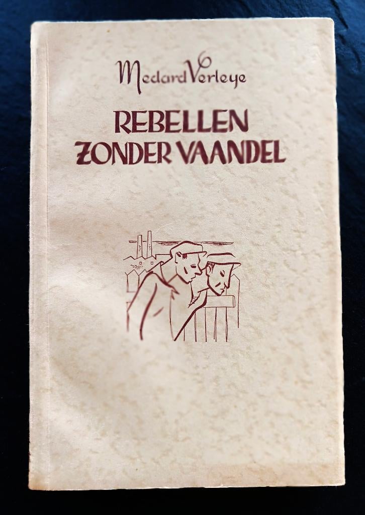 boek REBELLEN ZONDER VAANDEL= VLAAMSE LITERATUUR, Enlèvement