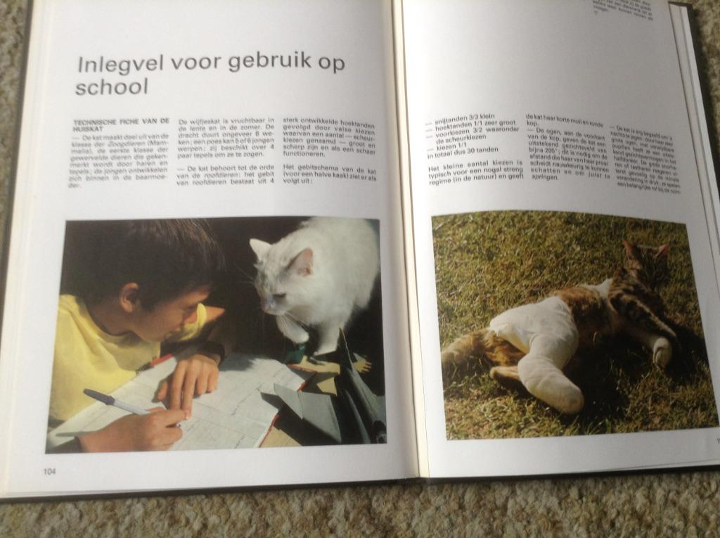 Een Boek van katten,lieve schattige huisdieren,slim dieren, Boeken, Ophalen of Verzenden, Zo goed als nieuw, Katten, Artis Historia