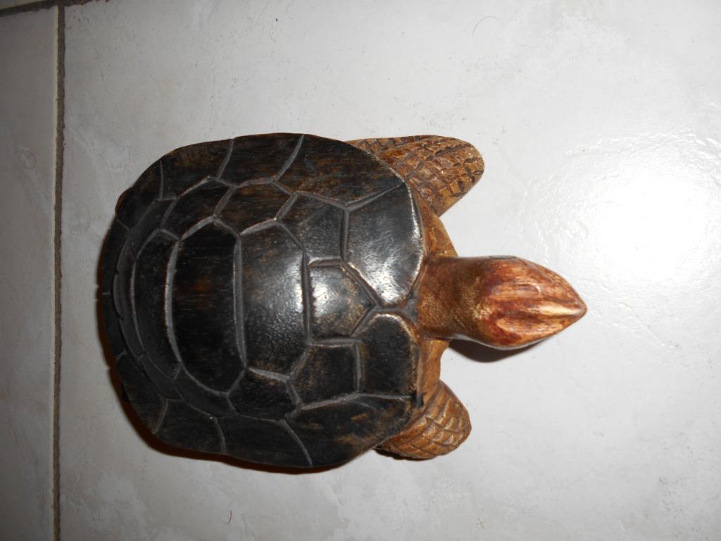 Houten schildpad  28x15x9 cm (LxBxH), Ophalen of Verzenden