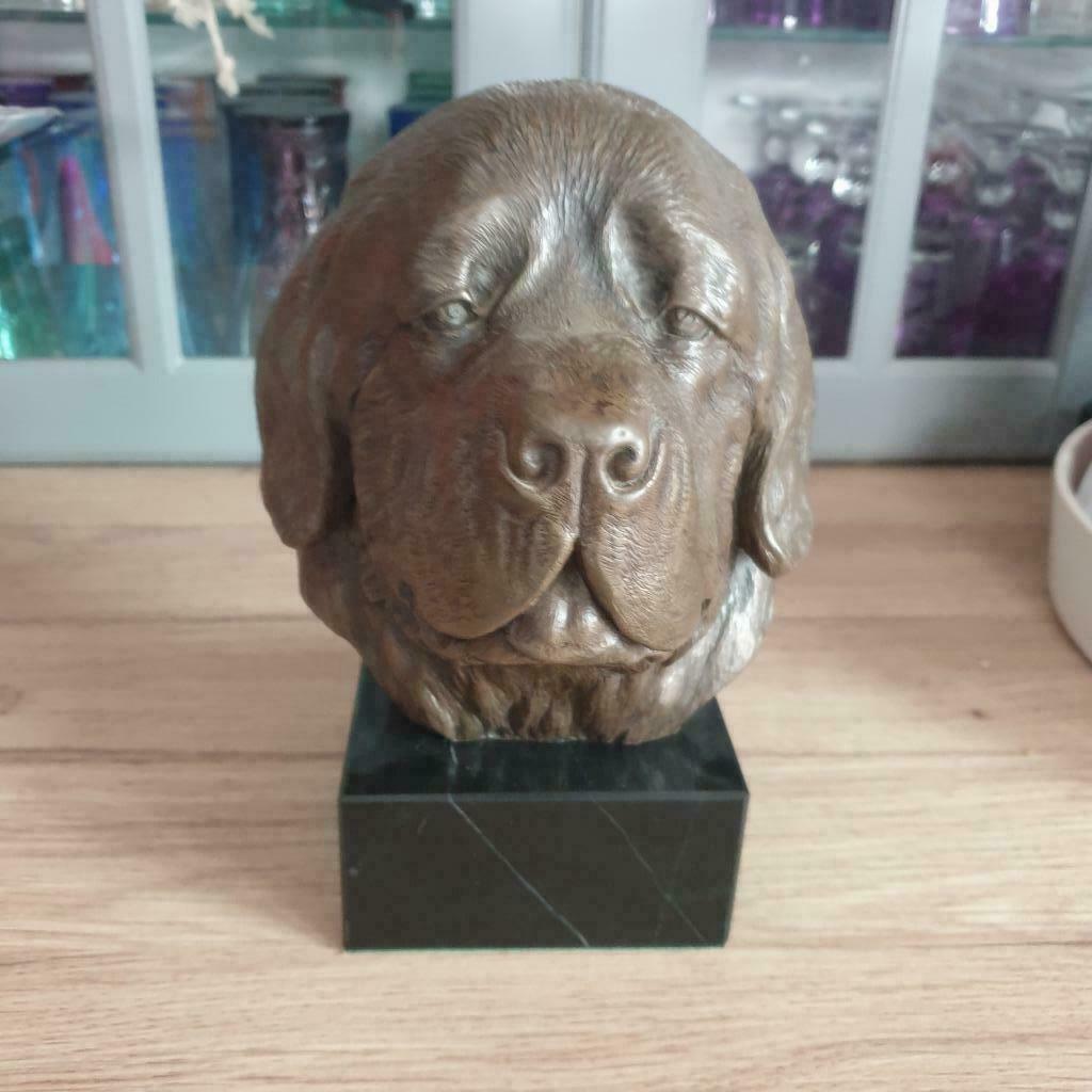 Tête de terre neuve en bronze, Enlèvement ou Envoi, Bronze
