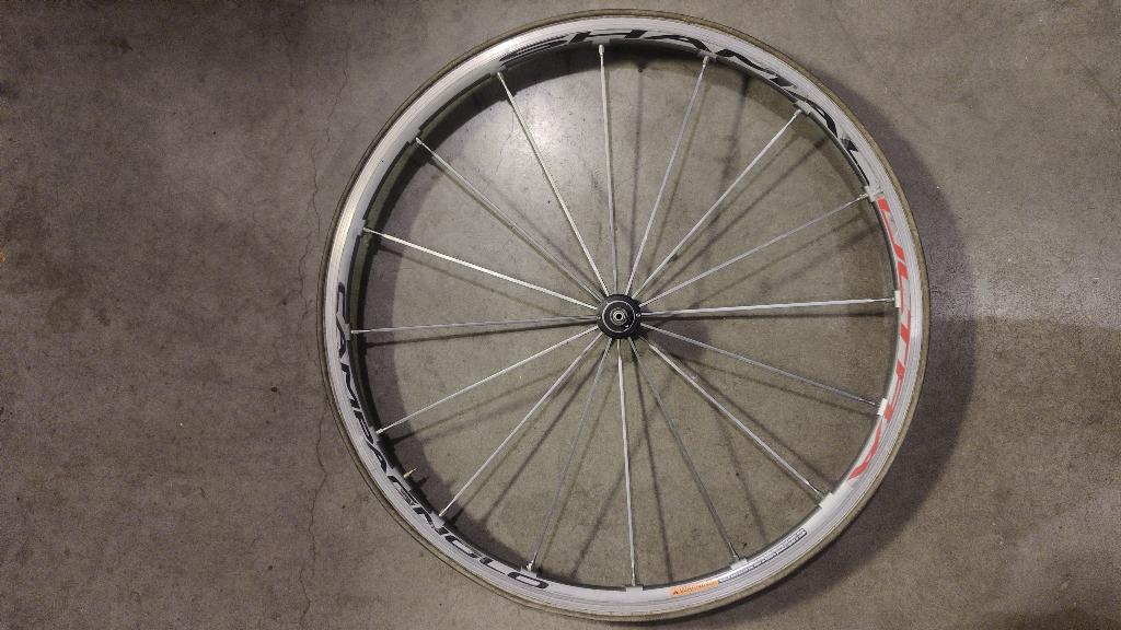 Campagnolo shamal ultra (voorwiel), Fietsen en Brommers, Ophalen of Verzenden, Zo goed als nieuw, Wiel, Campagnolo