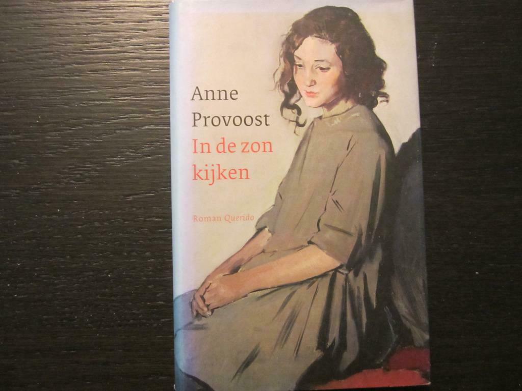 In de zon kijken  (Anne Provoost), Ophalen of Verzenden, Zo goed als nieuw