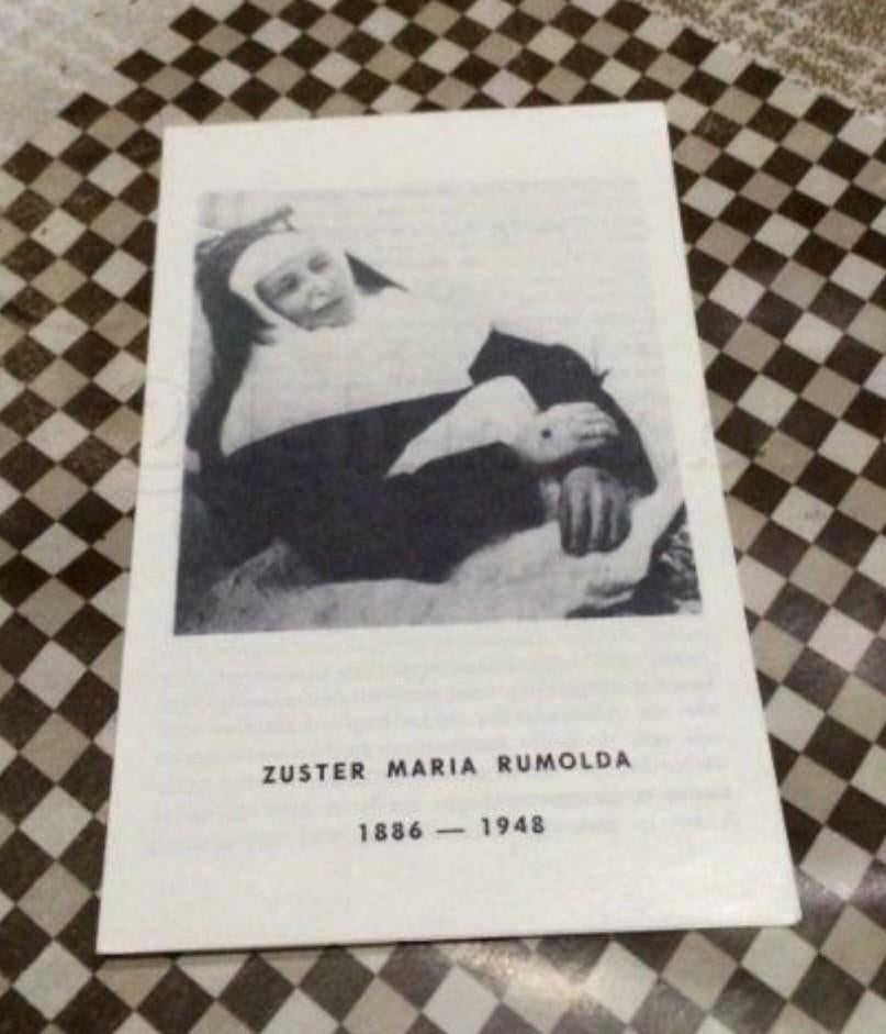 Bidprentje: Zuster Rumolda, Herman Wyns, Boeken, Ophalen of Verzenden, Zo goed als nieuw