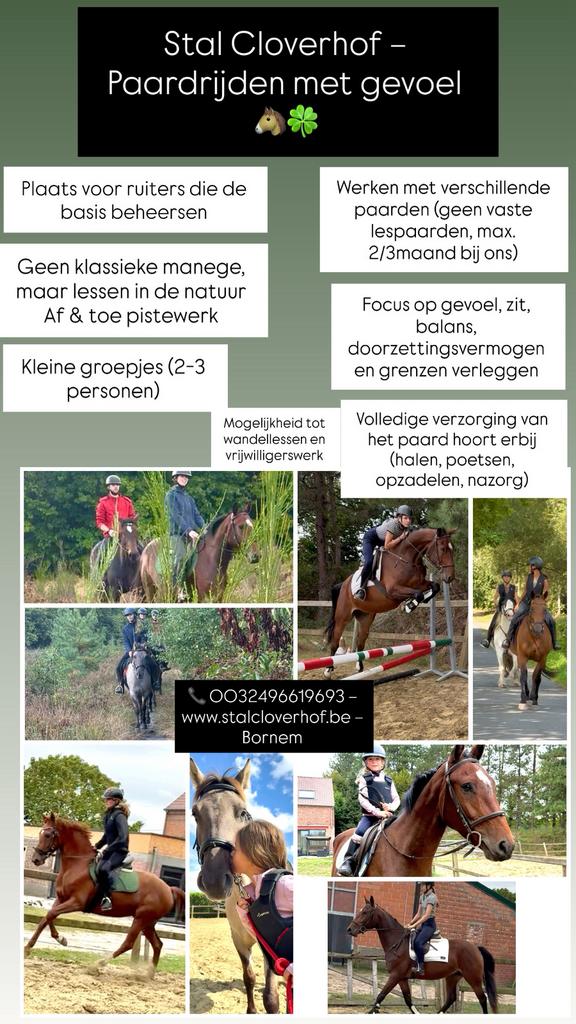Paardrijlessen Bornem, Enlèvement ou Envoi, Comme neuf
