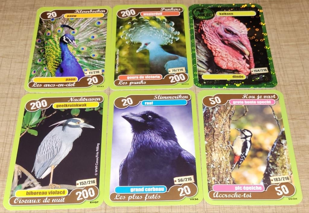 6 fotokaarten: Vogels, Verzamelen, 1980 tot heden, Ophalen of Verzenden, Zo goed als nieuw, Dier