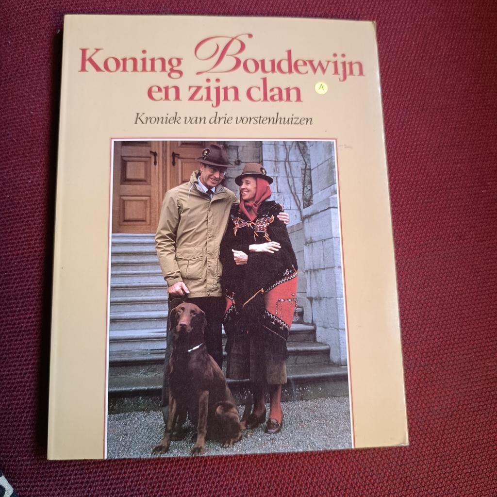 Koning Boudewijn en zijn clan, Boeken, Ophalen of Verzenden, Zo goed als nieuw