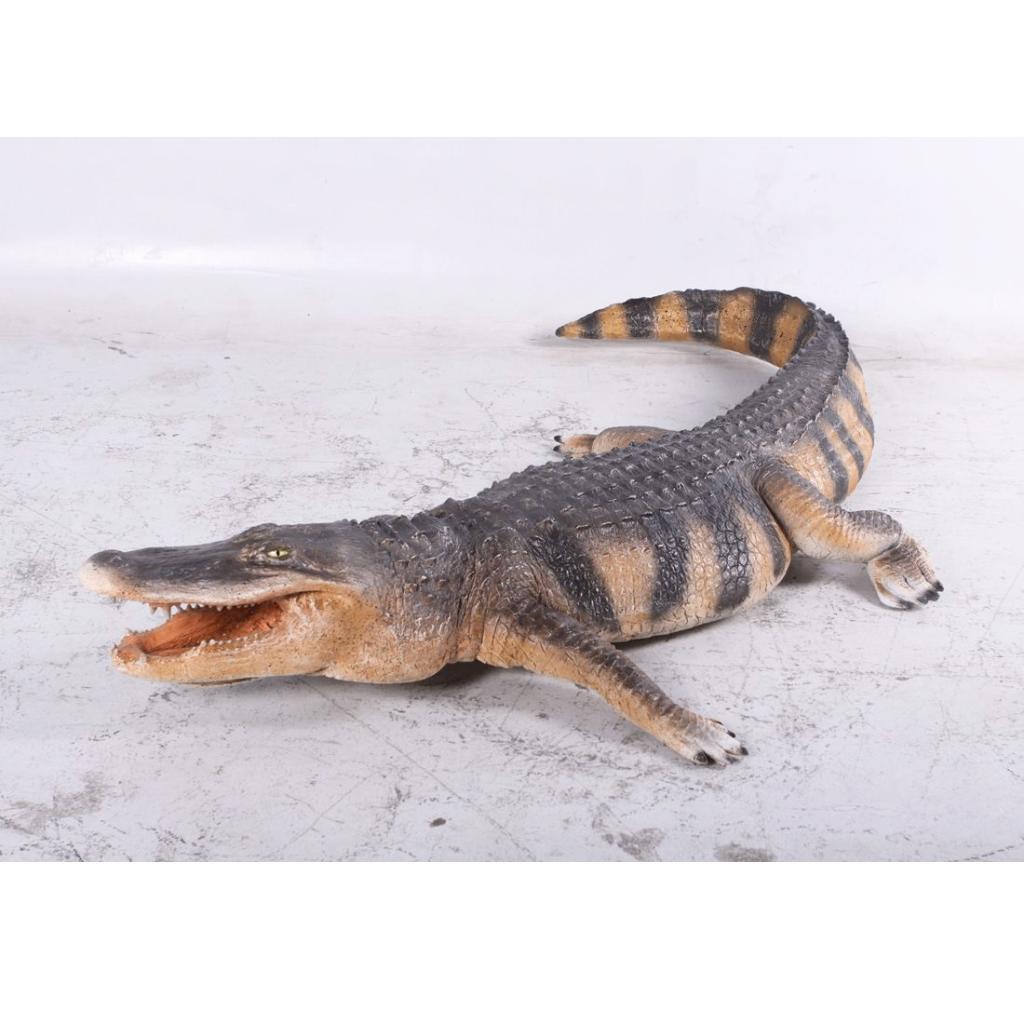 American Alligator – Krokodil beeld Lengte 241 cm, Ophalen, Nieuw