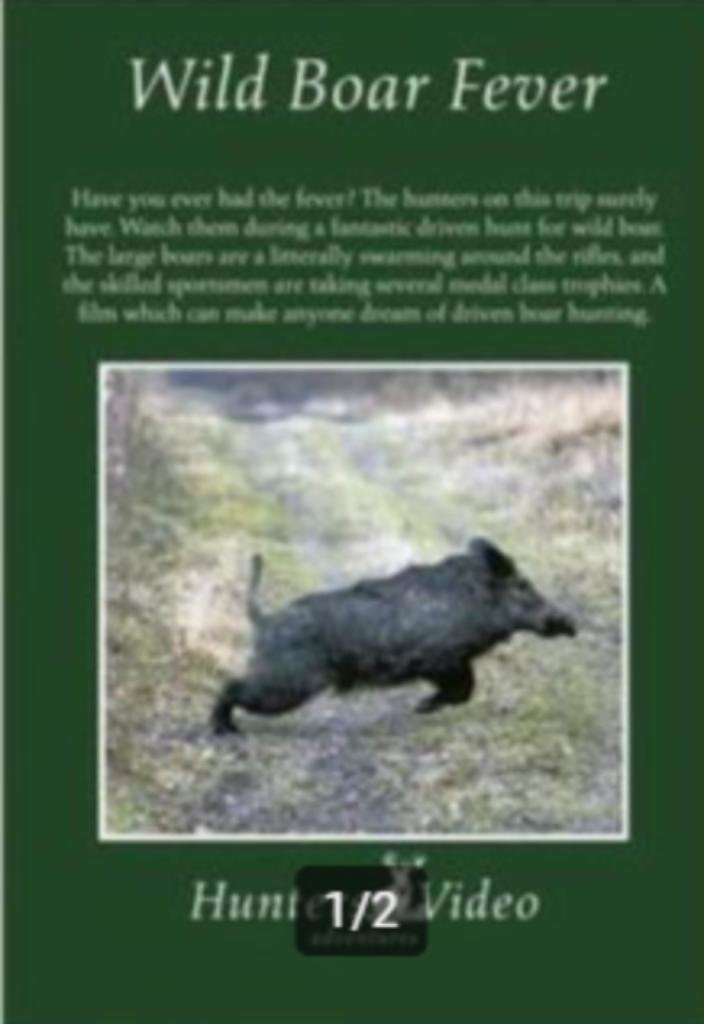 Wild Boar Fever, Ophalen of Verzenden