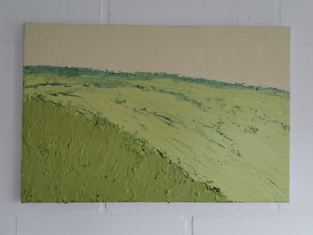 Heuvel in Ijsland - acryl op doek, Antiek en Kunst, Ophalen