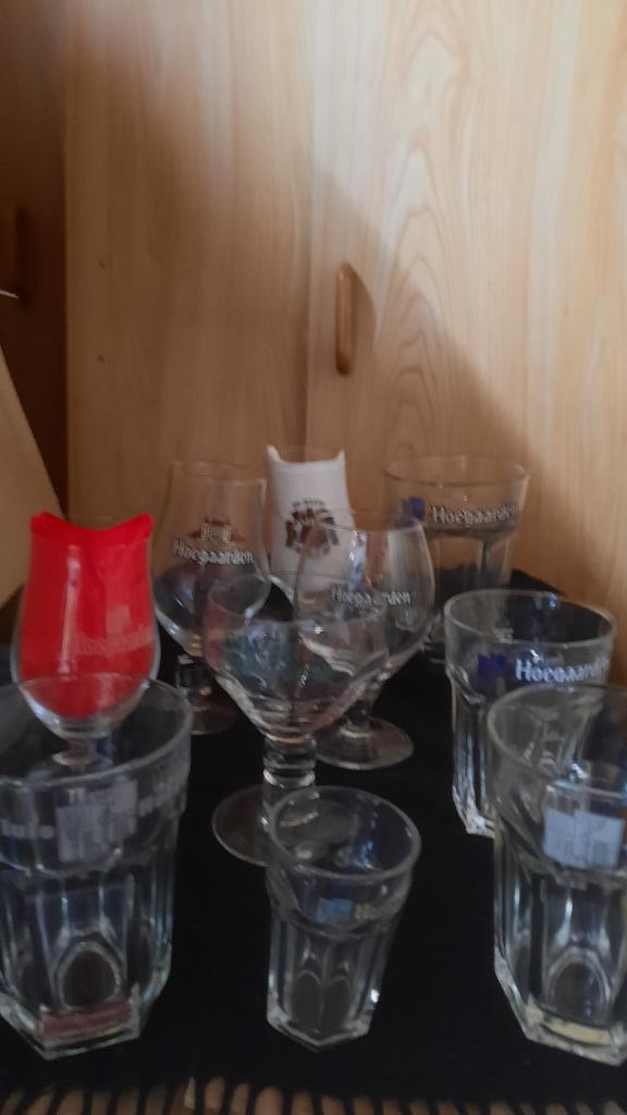 glas HOEGAARDEN _ gewone en speciale en SUPER HOEGAERDEN, Ophalen of Verzenden, Bierglas