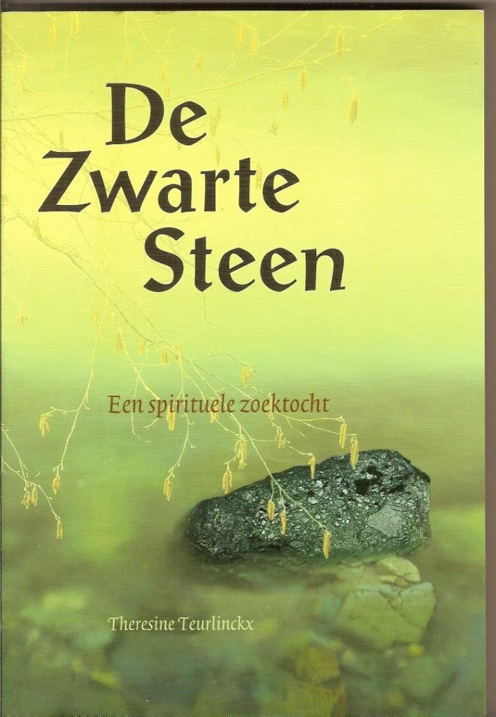 Th. Teurlinckx : De zwarte steen. Een spirituele zoektocht, Boeken, Esoterie en Spiritualiteit, Ophalen of Verzenden, Zo goed als nieuw