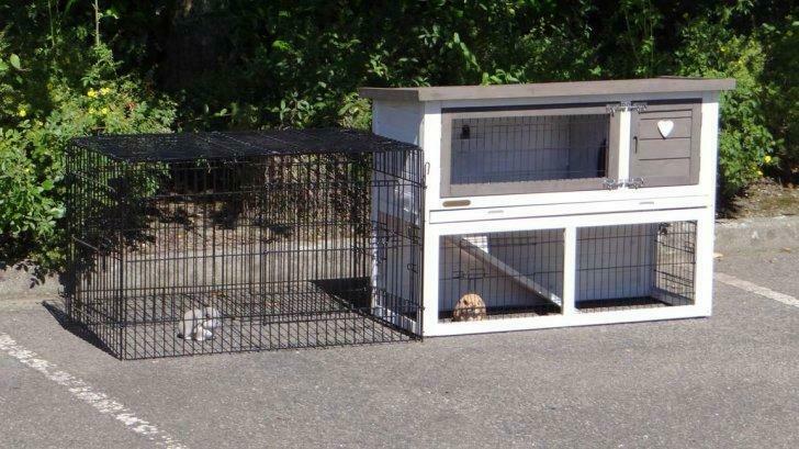 Clapier avec enclos anti renard + parc XXL abri rongeur, Envoi, Neuf