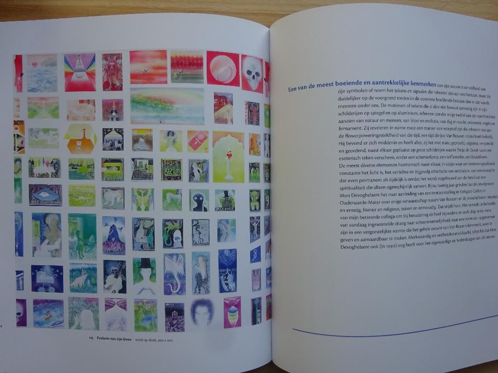 Joe Van Rossem, monografie, 2009 Lannoo, Peinture et dessin, Enlèvement ou Envoi, Comme neuf, Hugo Brutin