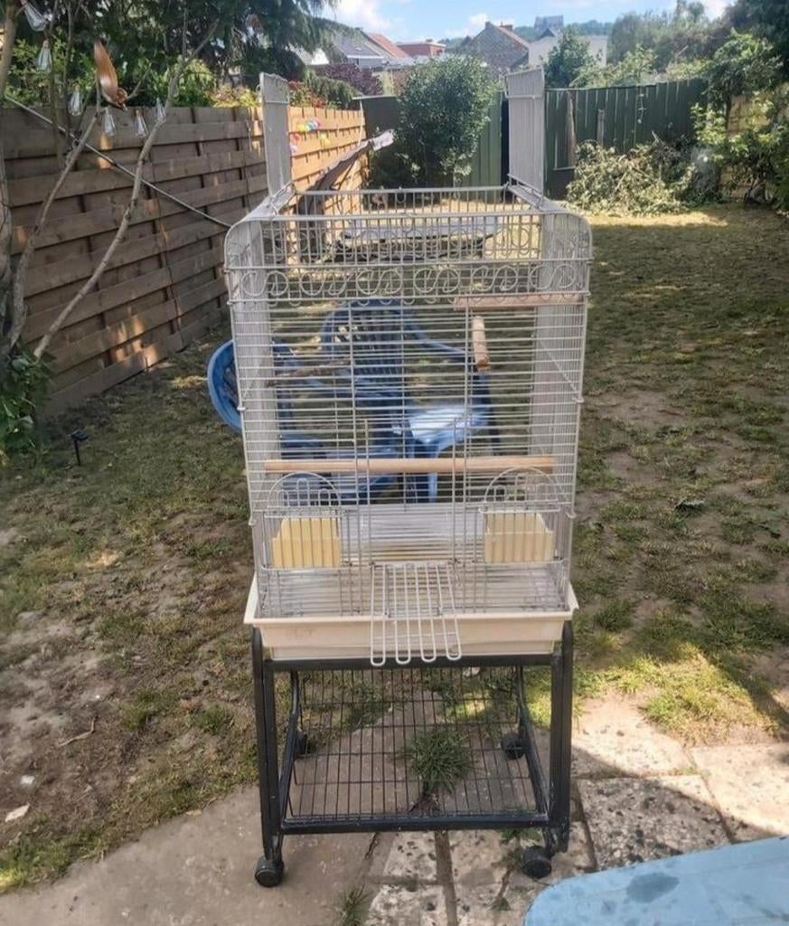 Volière, Animaux & Accessoires, Oiseaux | Cages & Volières, Enlèvement, Comme neuf, Volière
