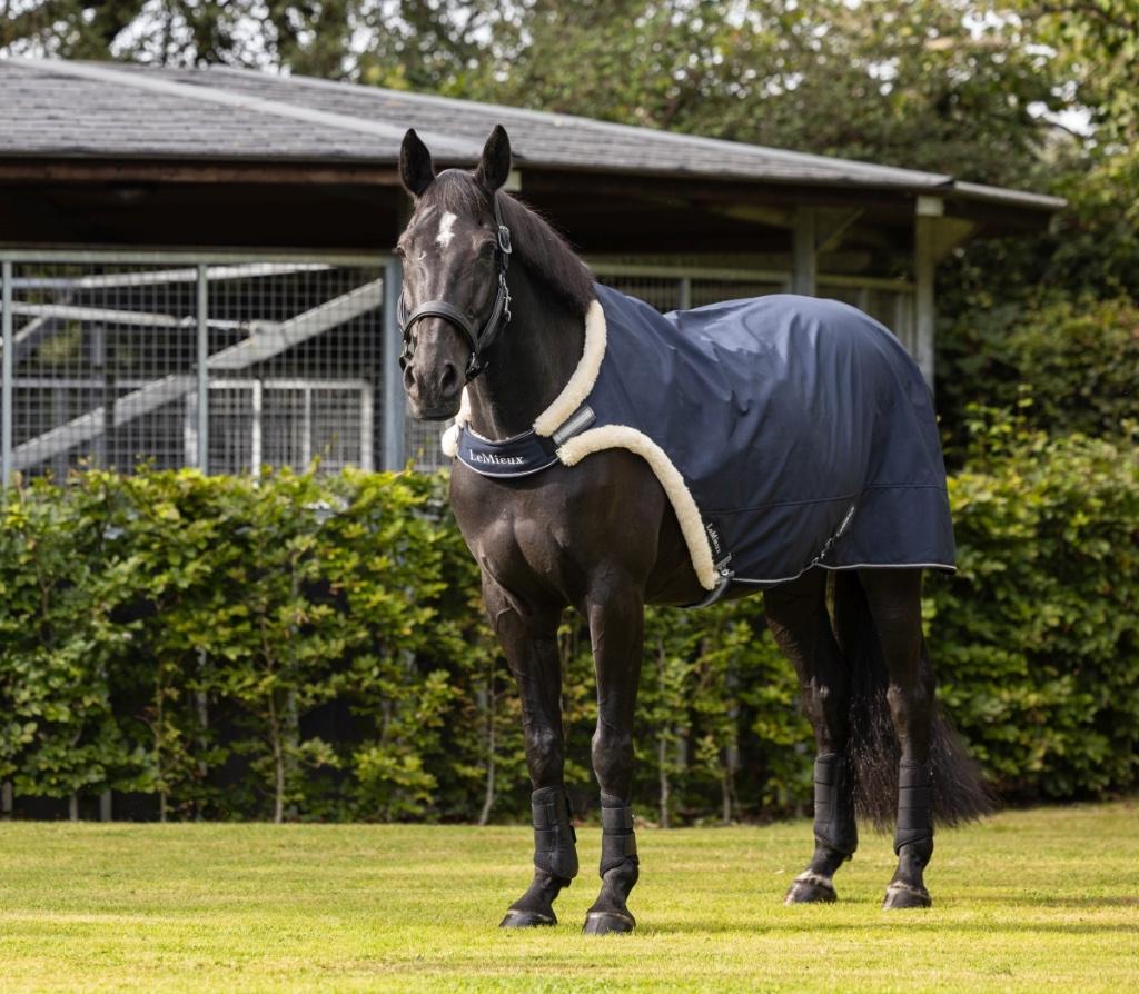 LeMieux Walker Rug Stapmolen Deken M+L+XL GRATIS VERZENDING!, Ophalen of Verzenden, Nieuw, Deken