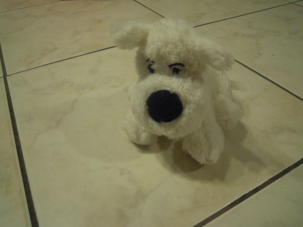 knuffel de pyramide hond bobbie (doos november 2025), Enlèvement ou Envoi, Neuf, Chien