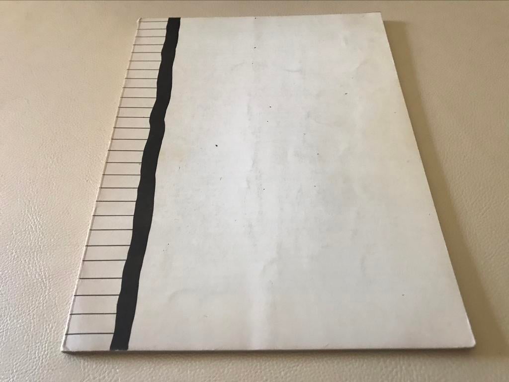 Roger Raveel jaren 70 schilderijen Tekeningen 45pag, Boeken, Ophalen of Verzenden, Zo goed als nieuw, Schilder- en Tekenkunst
