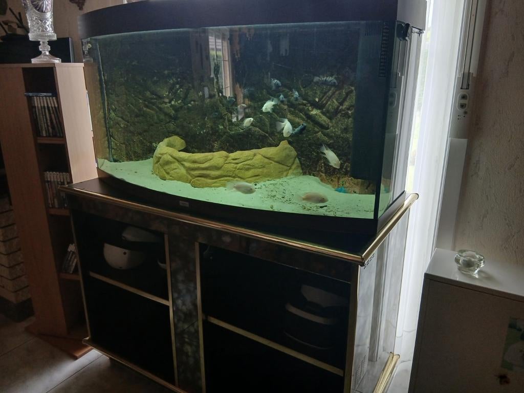 Aqarium met kast, Ophalen, Zo goed als nieuw