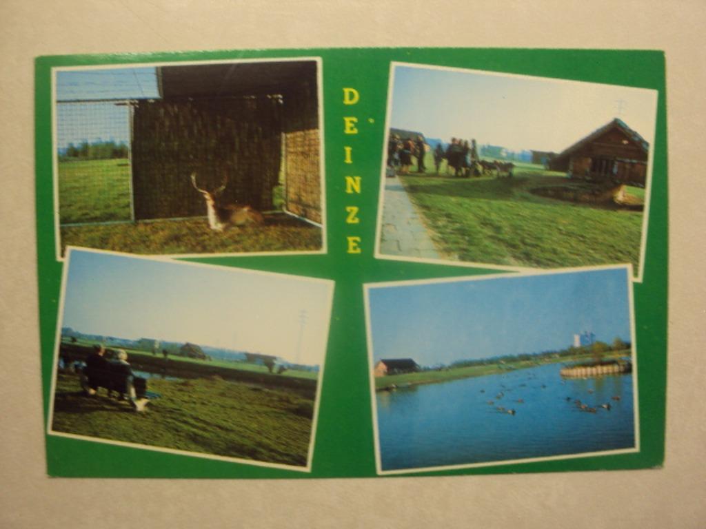 46632 - DEINZE - BRIELMEERSEN - DIERENPARK - 4 ZICHTEN, Verzamelen, Postkaarten | België, Verzenden