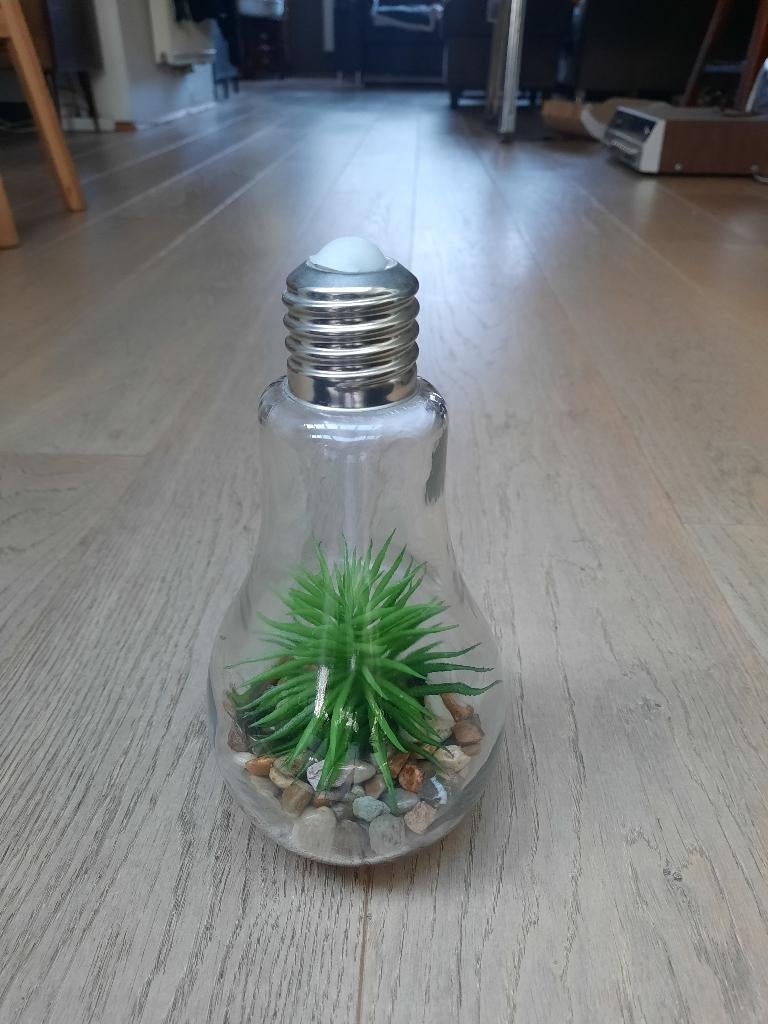 kunstplant, Ophalen of Verzenden, Zo goed als nieuw, Binnen