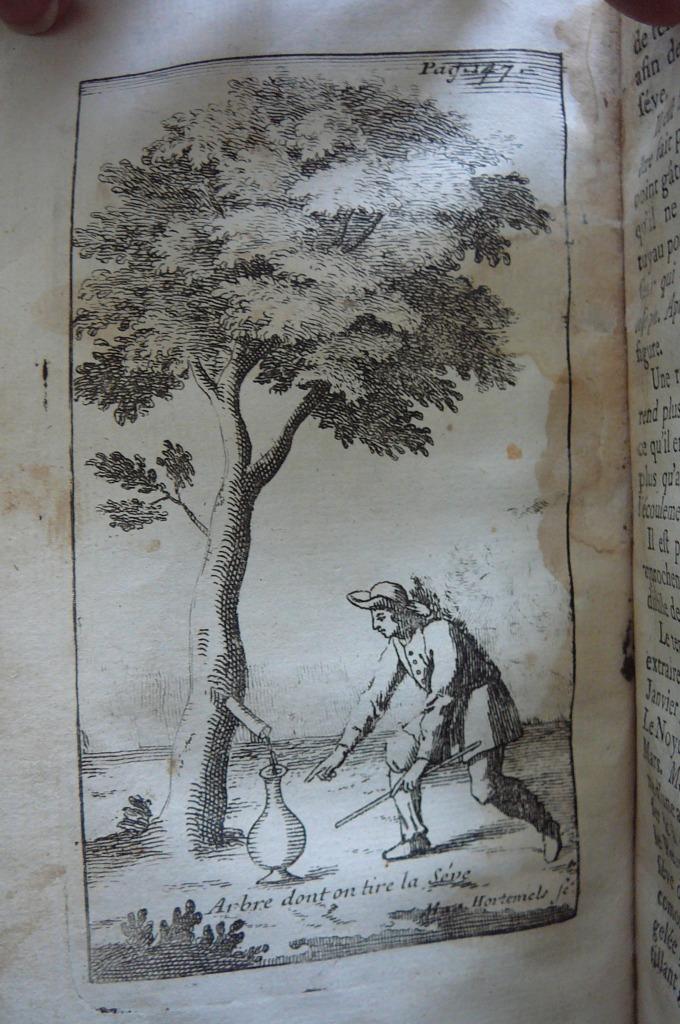 Curiosités sur la nature et l'art autour de la végétation, Enlèvement ou Envoi, Abbé de Vallemont