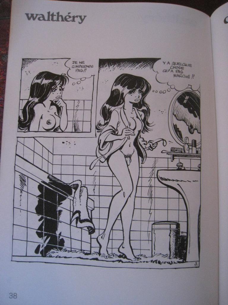 WILDE EEND FRANCOIS WALTHERY BD F MURR BETTY STRIP, Boeken, Gelezen, Verzenden, Eén stripboek, Walthéry