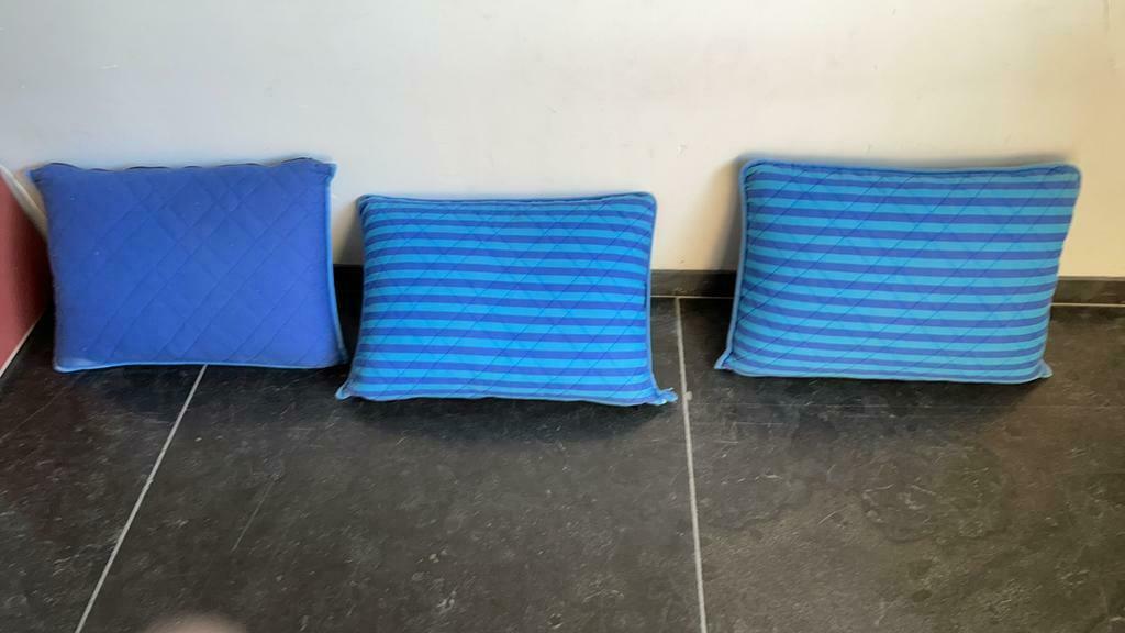 3 oreillers épais FLEXA, Enlèvement ou Envoi, Bleu